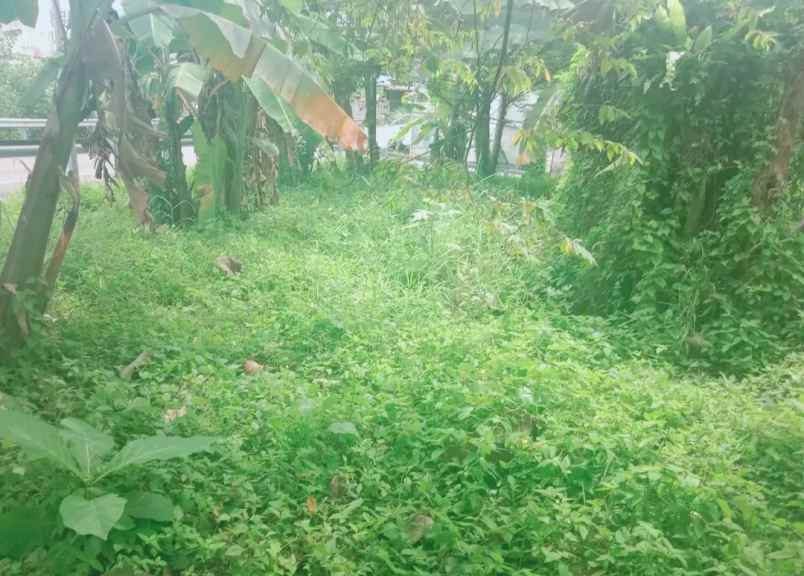 dijual tanah desa bajra kec selemadeg