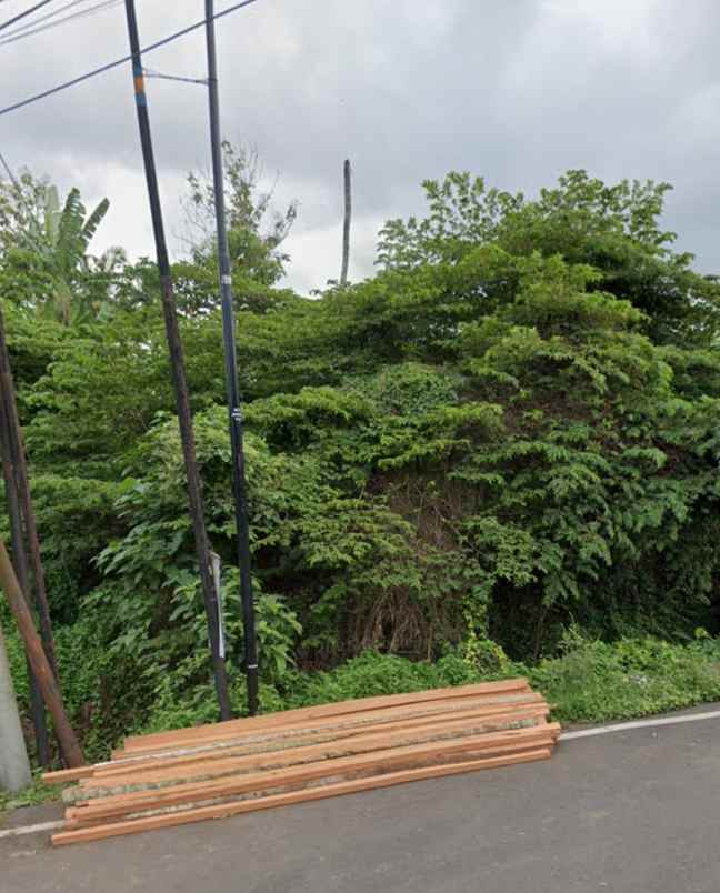 dijual tanah desa bajra kec selemadeg