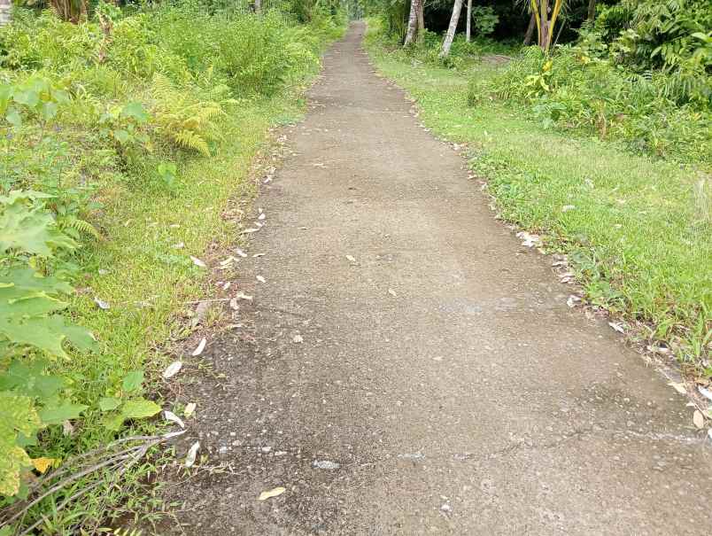 dijual tanah desa gadung sari kec