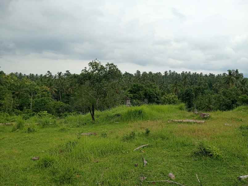 dijual tanah desa gadung sari kec