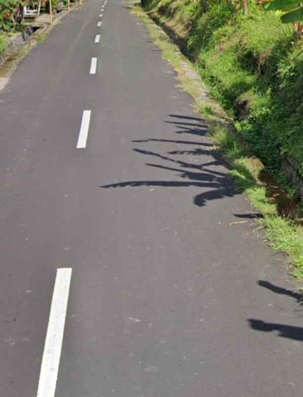 dijual tanah desa lalanglingah kec