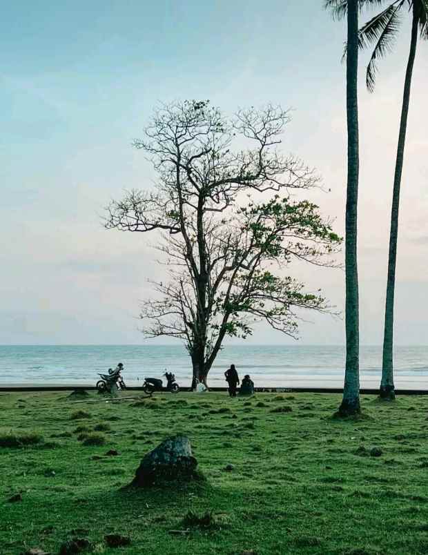 dijual tanah desa lalanglingah kec