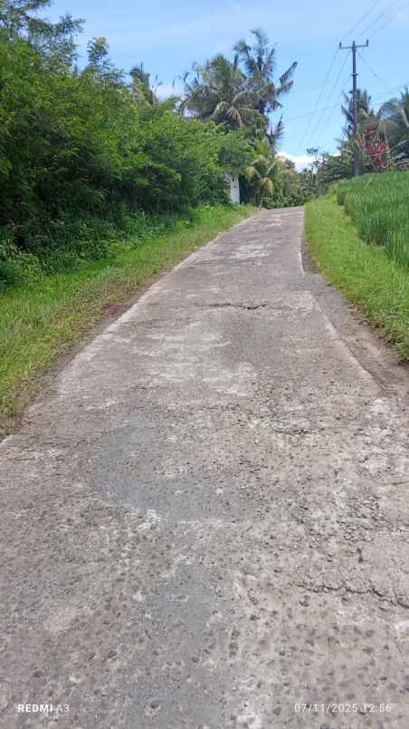 dijual tanah desa tiyinggading kec