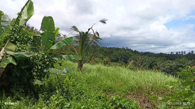 dijual tanah desa tiyinggading kec