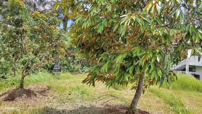 dijual tanah desa tiyinggading kec