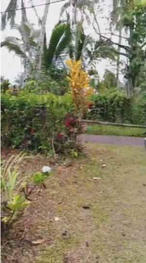 dijual tanah desa wisata belimbing