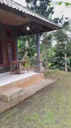 dijual tanah desa wisata belimbing