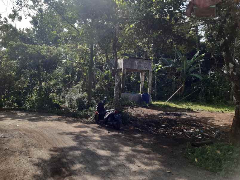 dijual tanah di desar serut kec panti jember