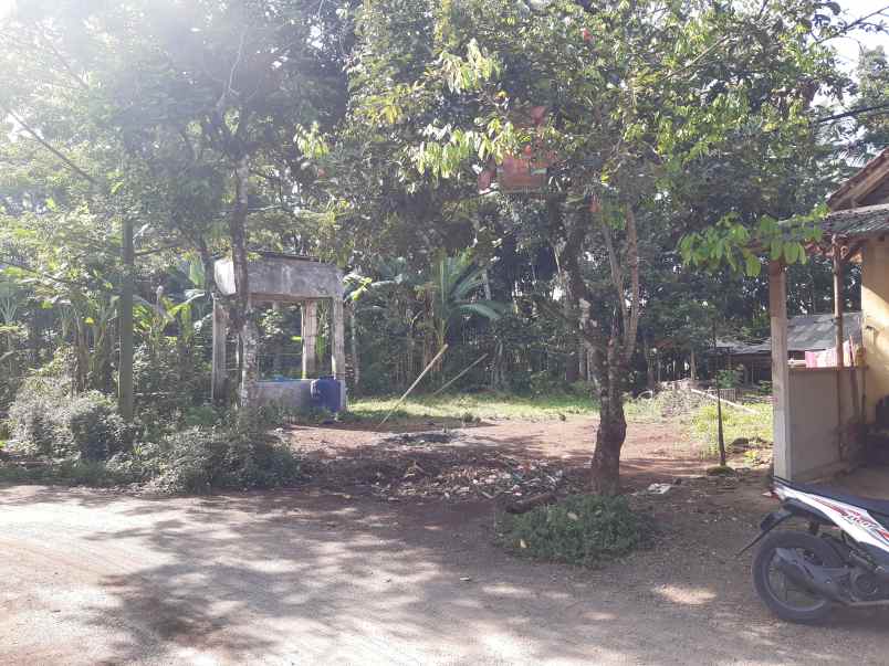 dijual tanah di desar serut kec panti jember