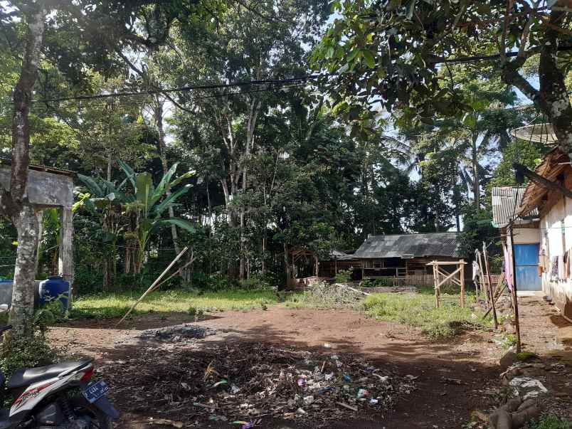 dijual tanah di desar serut kec panti jember