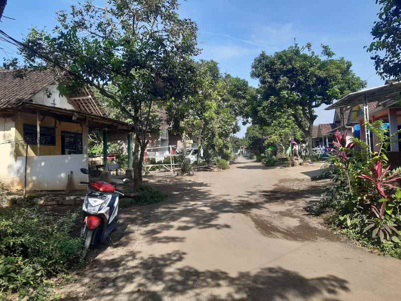 dijual tanah di desar serut kec panti jember