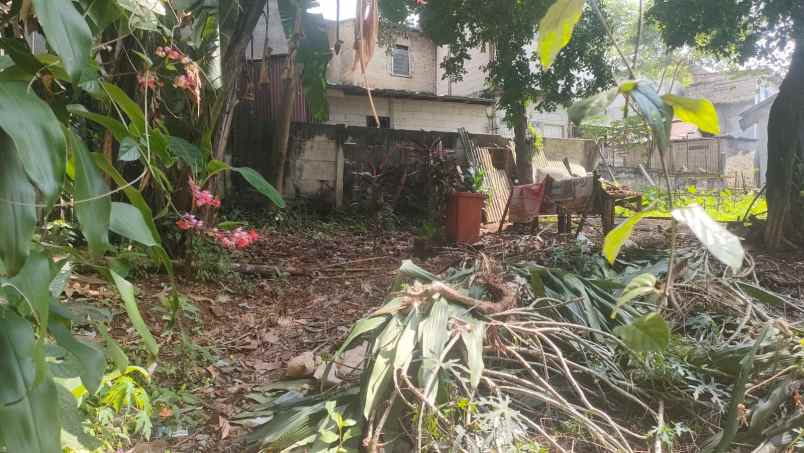 dijual tanah gang musholla darussalam