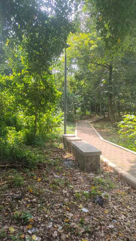 dijual tanah gang musholla darussalam