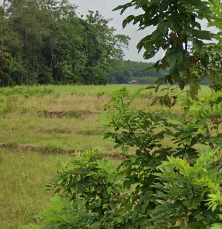 dijual tanah industri 29 hektar karawang barat