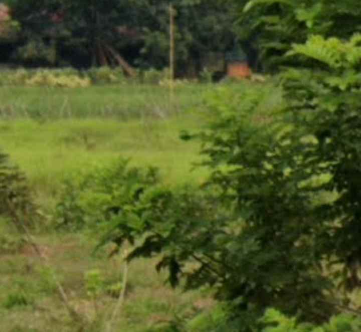 dijual tanah industri 29 hektar karawang barat