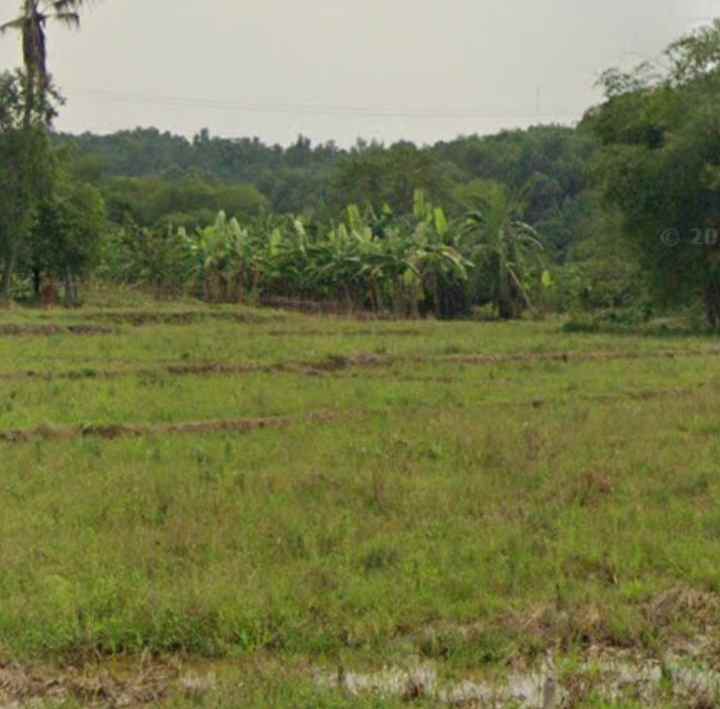 dijual tanah industri 29 hektar karawang barat