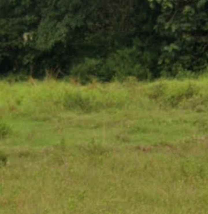 dijual tanah industri 29 hektar karawang barat