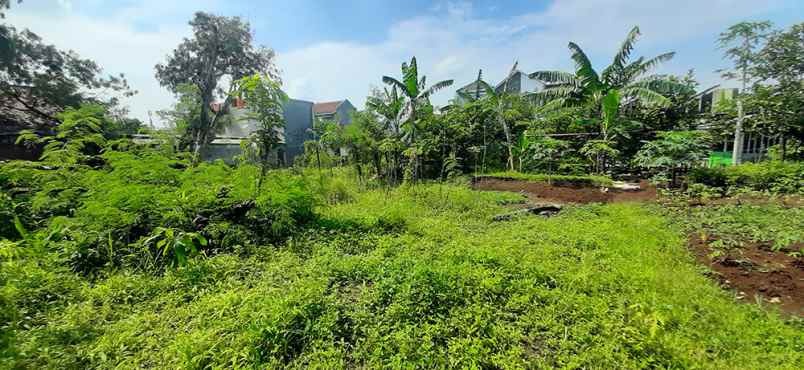 dijual tanah jamrud