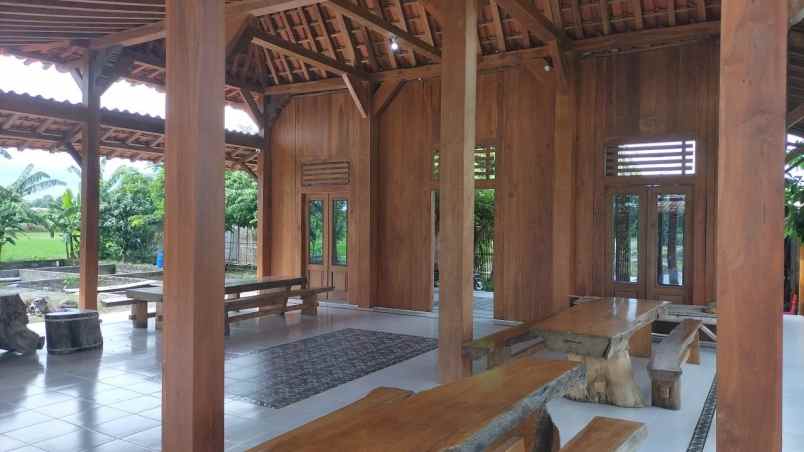 dijual tanah janti