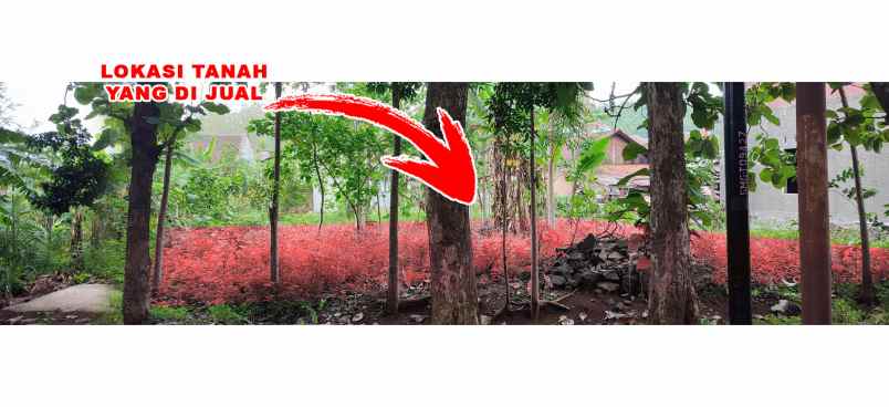 dijual tanah jl bandungsari jalan