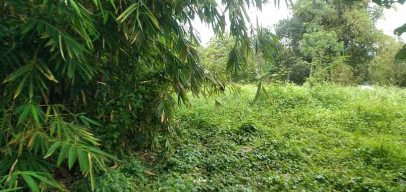 dijual tanah jl cijeruk