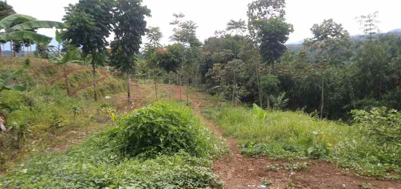 dijual tanah jl cijeruk