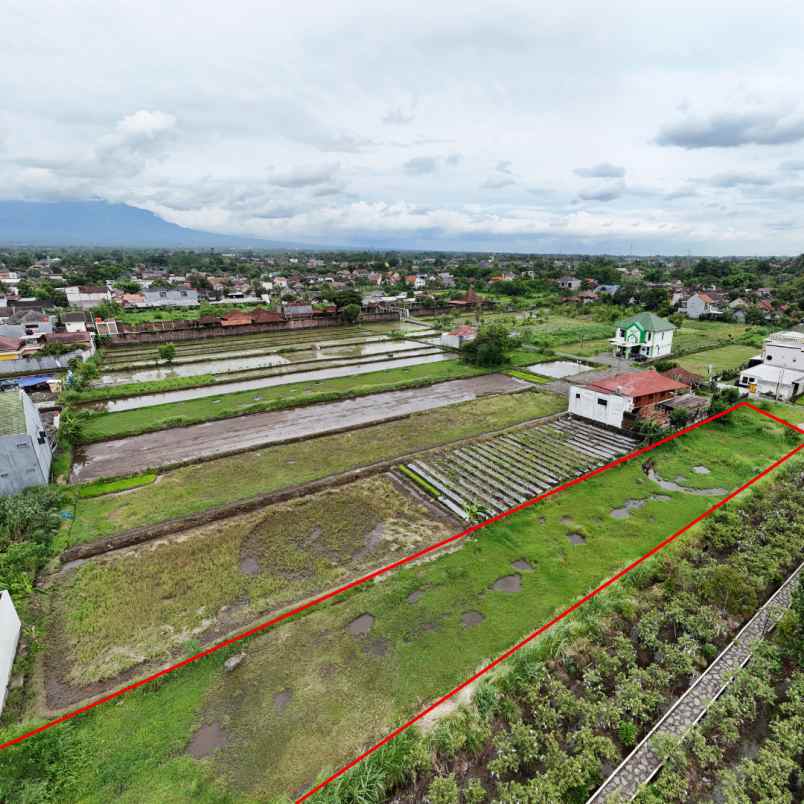 dijual tanah jl damai sinduharjo kec