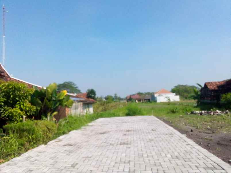 dijual tanah jl damai sinduharjo kec