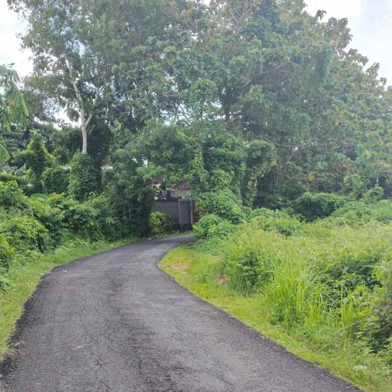 dijual tanah jl gubug sari