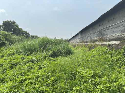 dijual tanah jl kalitimbang desa