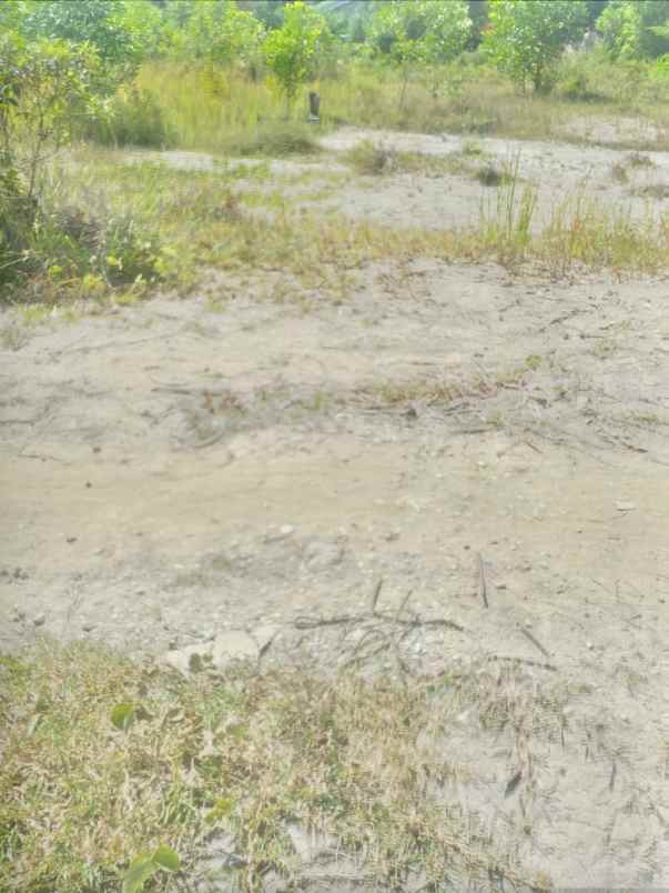 dijual tanah jl kampar iii