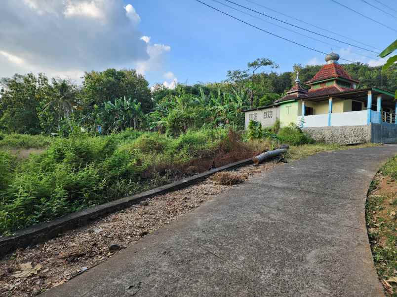 dijual tanah jl pleret giriloyo