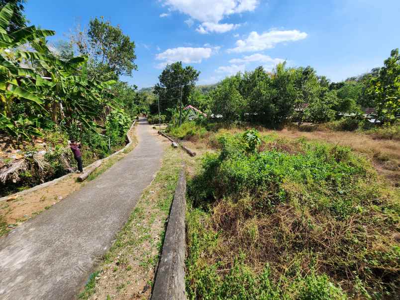 dijual tanah jl pleret giriloyo