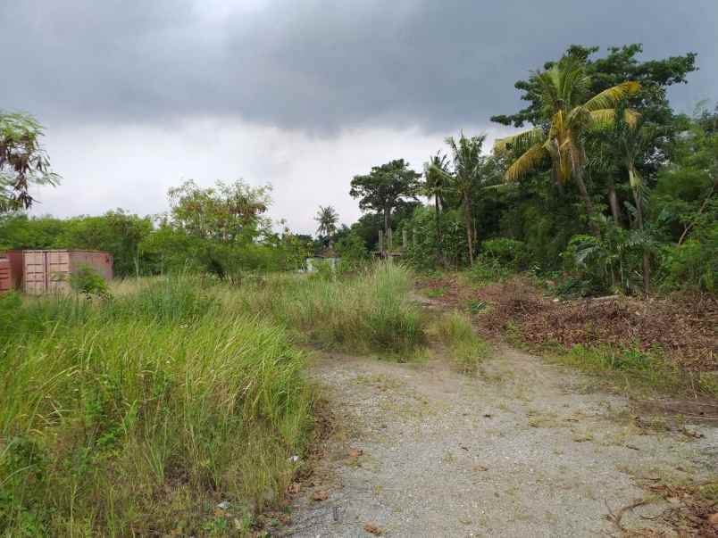 dijual tanah jl raya narogong