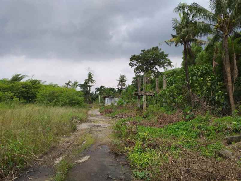 dijual tanah jl raya narogong