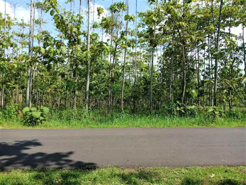 dijual tanah jl raya sragen kerjo