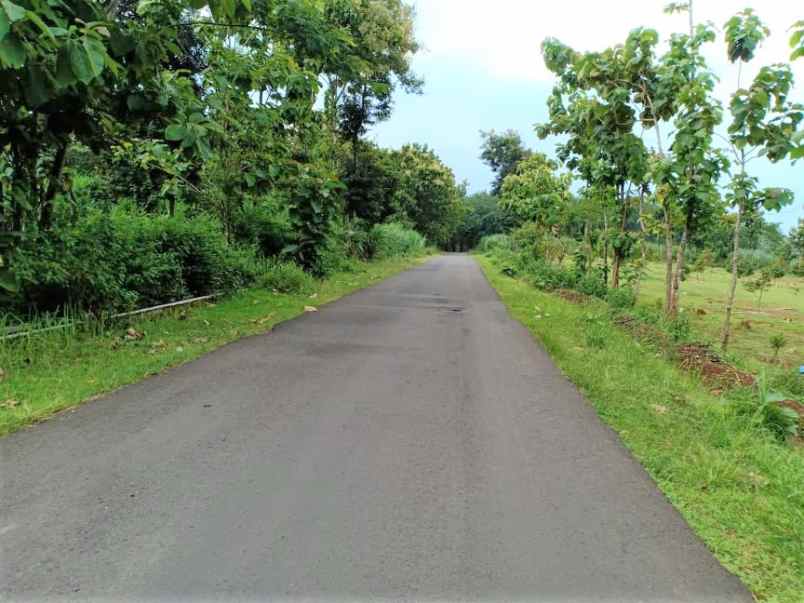 dijual tanah jl raya sragen kerjo