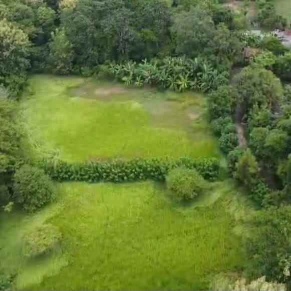 dijual tanah kampial
