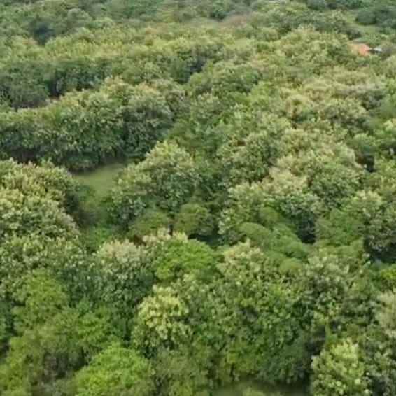 dijual tanah kampial
