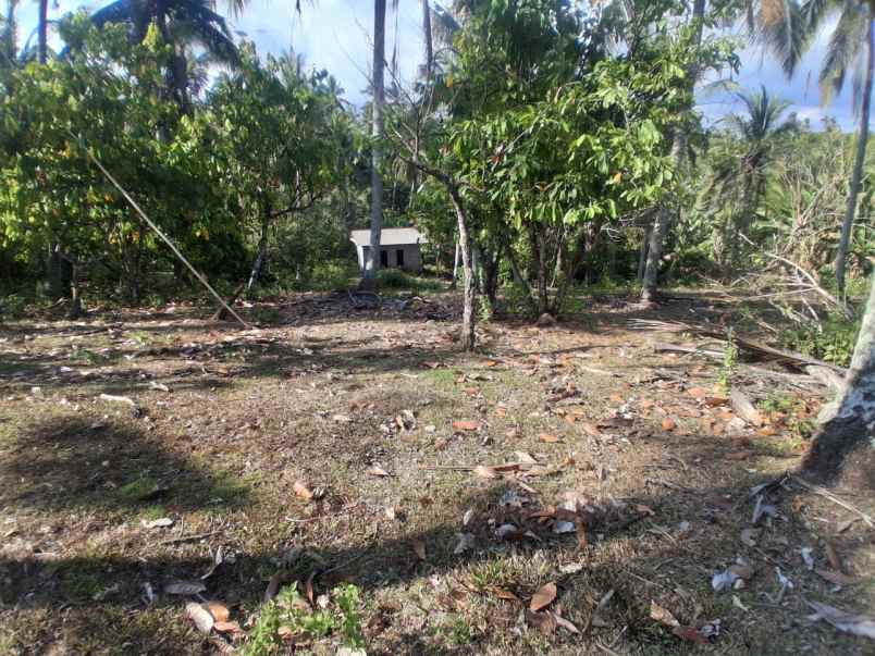 dijual tanah kebun dengan view sunset yang indah