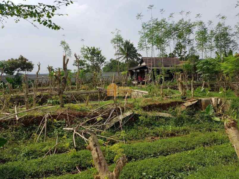 dijual tanah leuwiliang kel dukuh kec