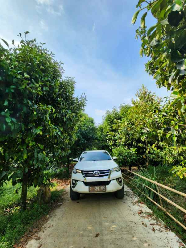 dijual tanah leuwiliang pangaradin