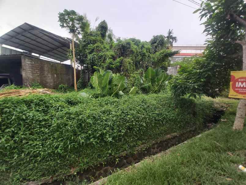 dijual tanah megati tabanan bali