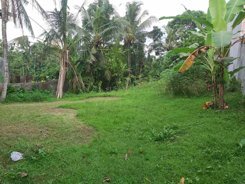dijual tanah megati tabanan bali