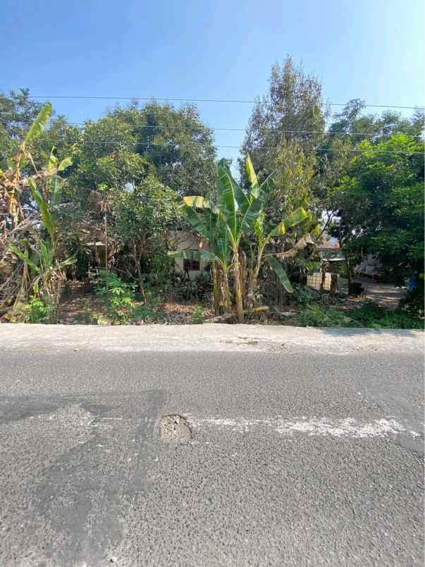 dijual tanah mlati