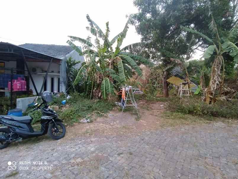 dijual tanah mulawarman selatan