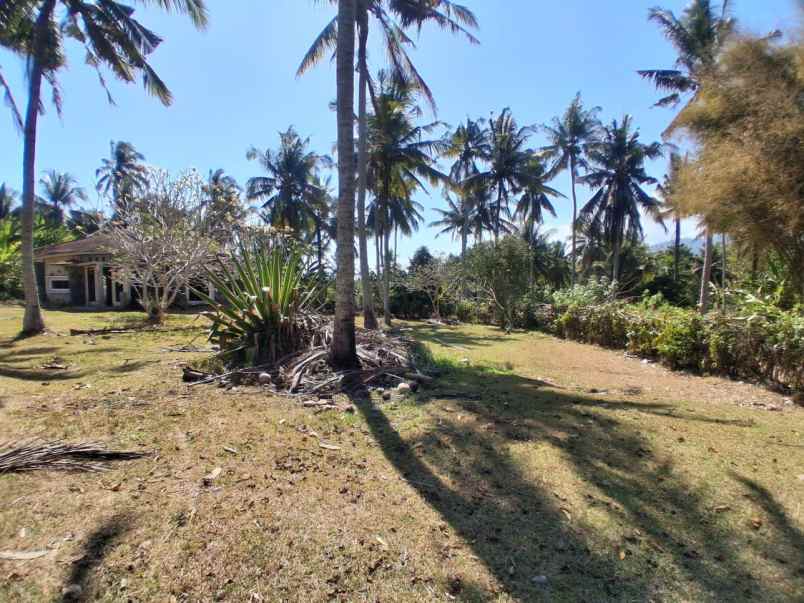 dijual tanah pantai balian selemadeg