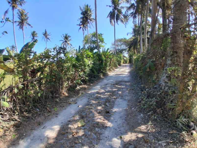dijual tanah pantai balian selemadeg