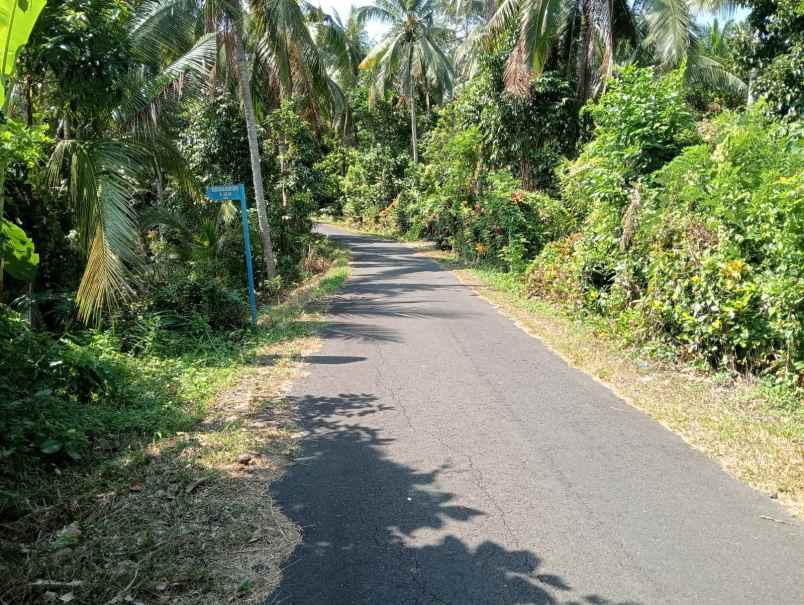 dijual tanah pantai balian selemadeg