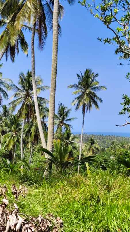 dijual tanah pantai balian selemadeg